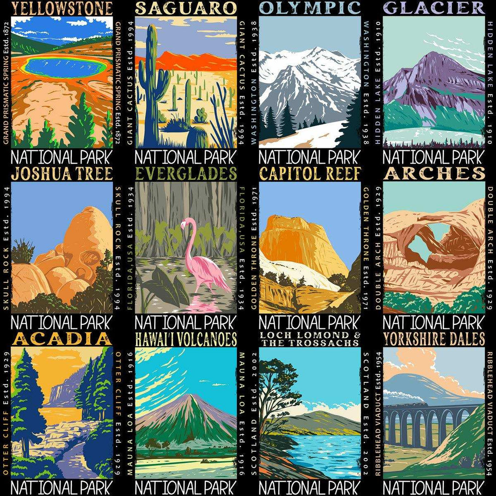 99 USA National Parks Streetwear Designs Bundle PNG
