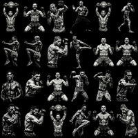 Load image into Gallery viewer, UFC fighter collection: 24 black &amp; white MMA athlete poses for DTF, DTG, embroidery designs
