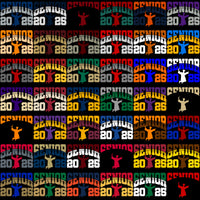 Load image into Gallery viewer, 115 Class Of 2025 Jump Graduation Designs Bundle PNG
