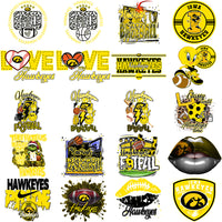 Load image into Gallery viewer, 77 Iowa Hawkeyes Designs Bundle PNG
