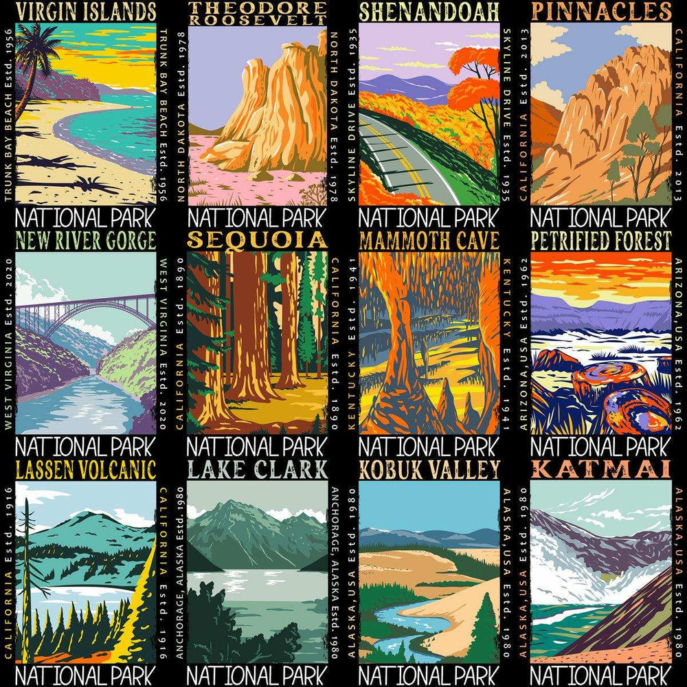 99 USA National Parks Streetwear Designs Bundle PNG