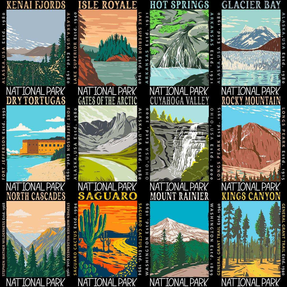 99 USA National Parks Streetwear Designs Bundle PNG