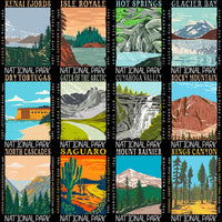Load image into Gallery viewer, 99 USA National Parks Streetwear Designs Bundle PNG
