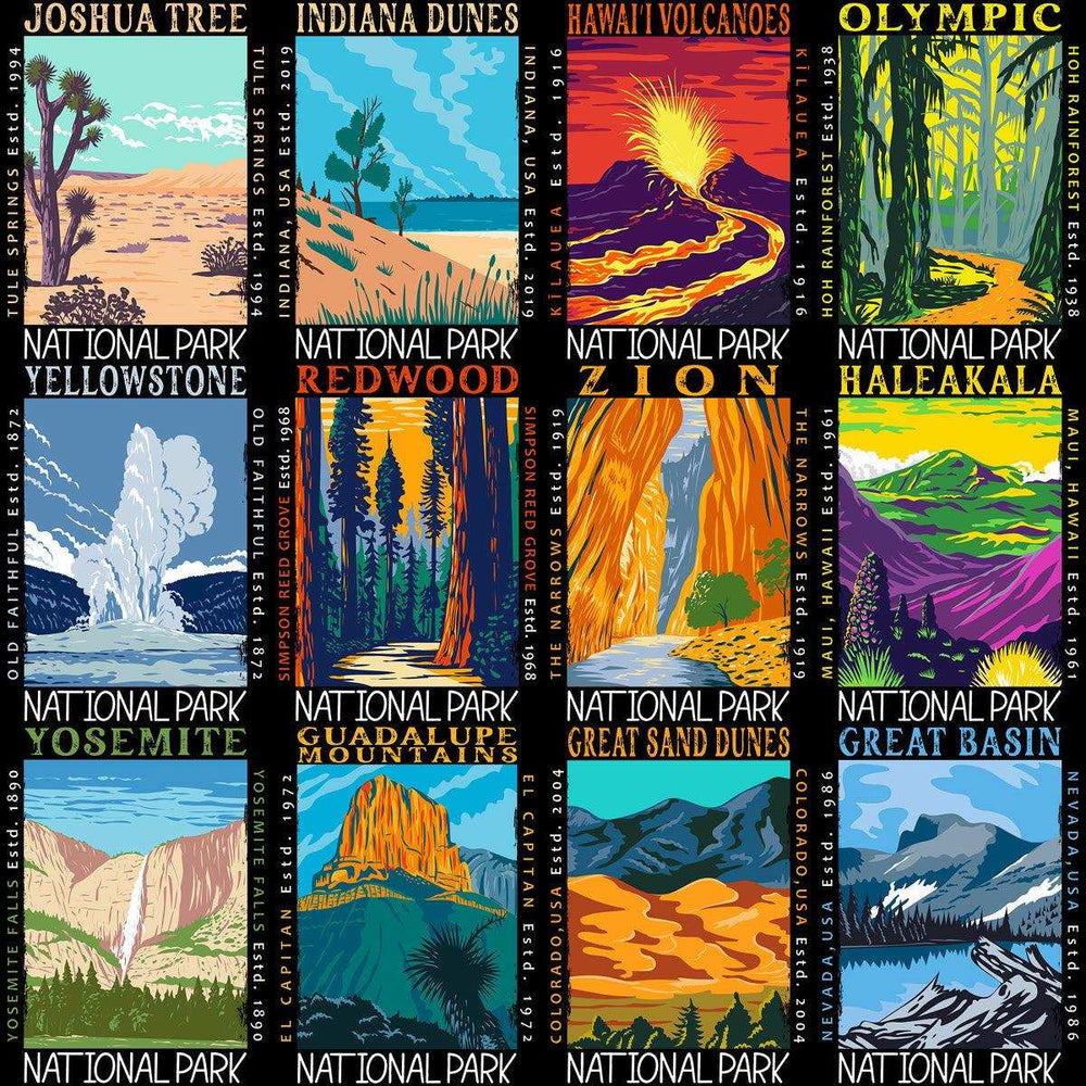 99 USA National Parks Streetwear Designs Bundle PNG