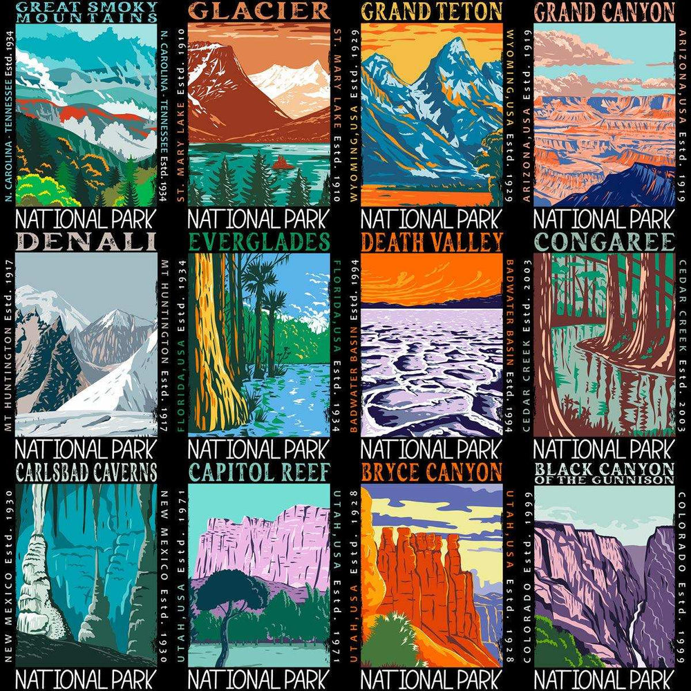99 USA National Parks Streetwear Designs Bundle PNG