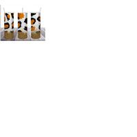 Load image into Gallery viewer, 10 Wild Glitter Tumbler Wrap Designs Bundle JPG
