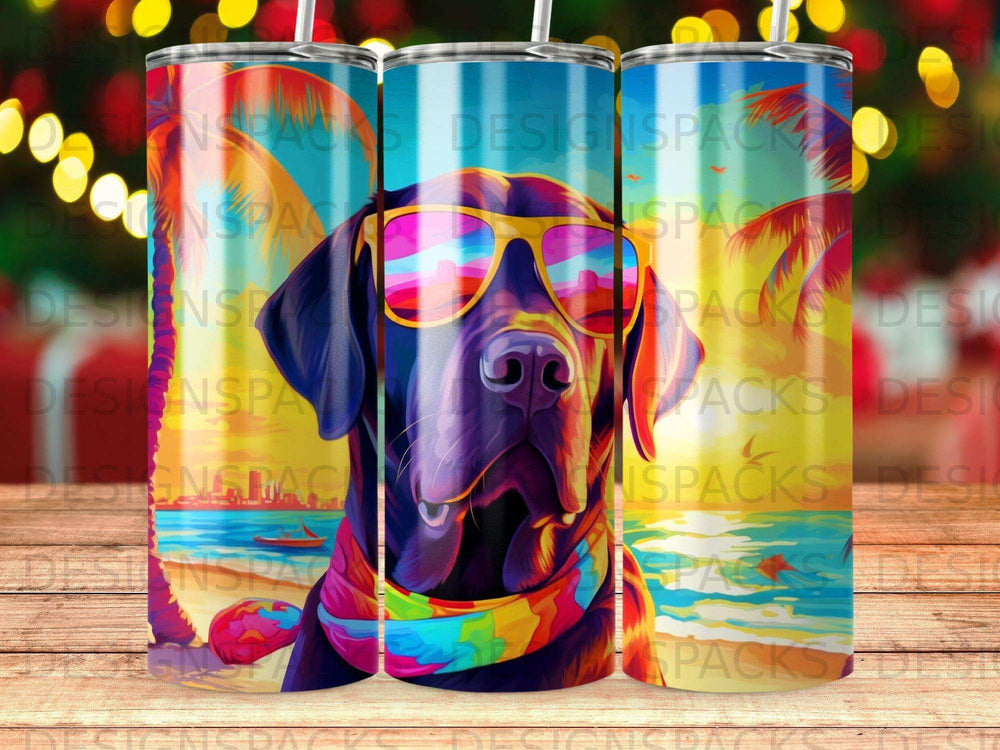 Black lab wearing sunglasses and a colorful scarf on a beach.