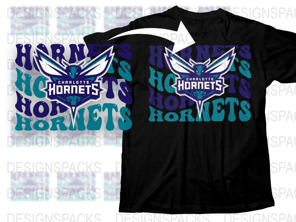 Charlotte Hornets T-Shirt, NBA Team Logo Graphic Tee, Black Casual Sports Shirt