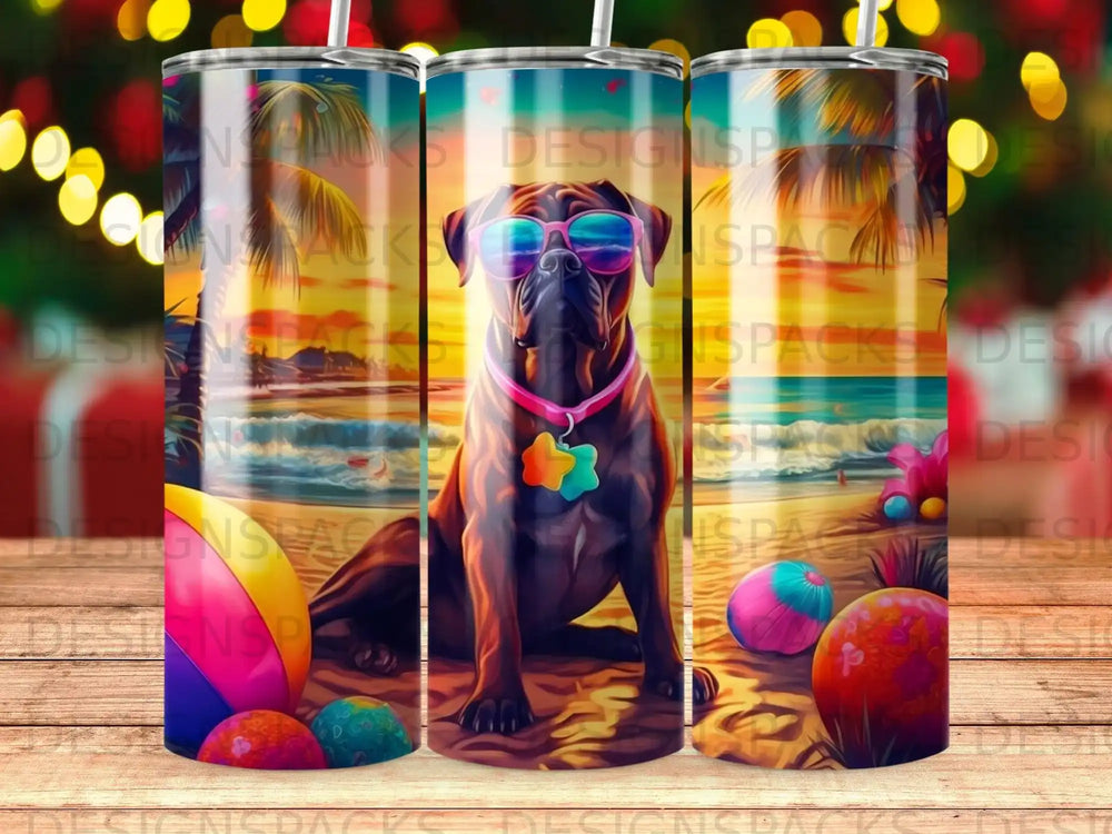 Mastiff dog wearing sunglasses on a beach with colorful beach balls.