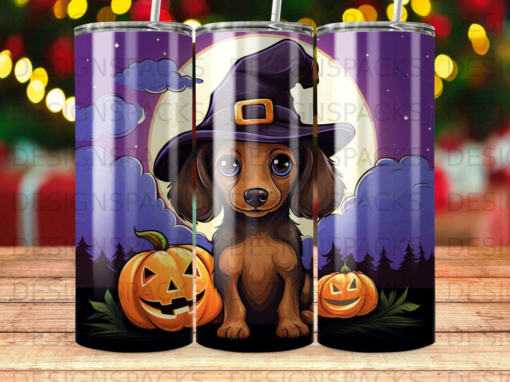 Dachshund in witch hat with pumpkins for Halloween.