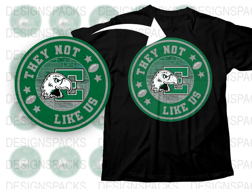 They Not Like Us Eagle Graphic T-Shirt, Vintage Sports Team Tee, Unisex Fashion Shirt