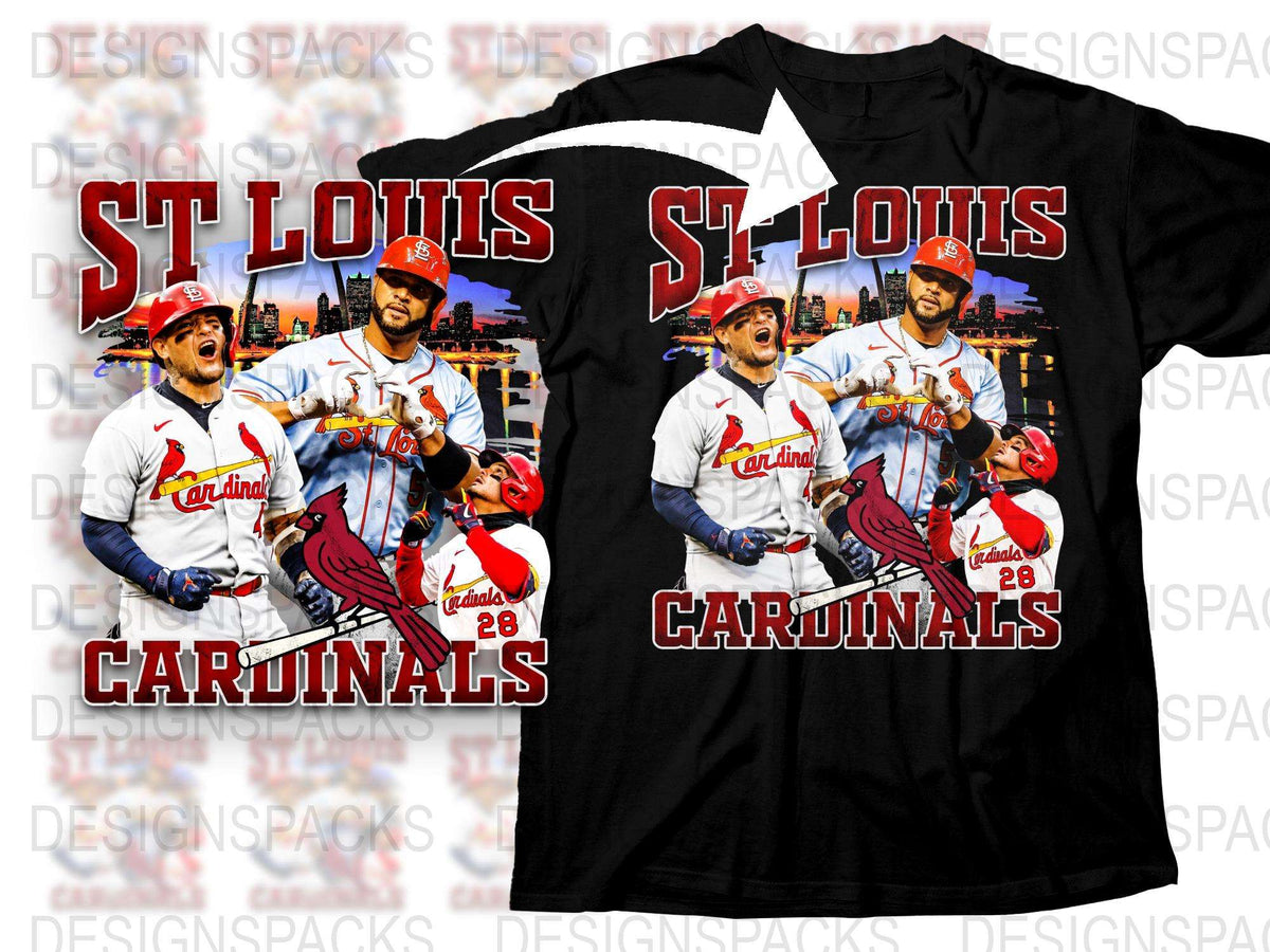 St. Louis Baseball Team Graphic T-Shirt, Men's Sports Fan Apparel, Cardinals Game Day Shirt, Casual Sports Wear, Gift for Fans
