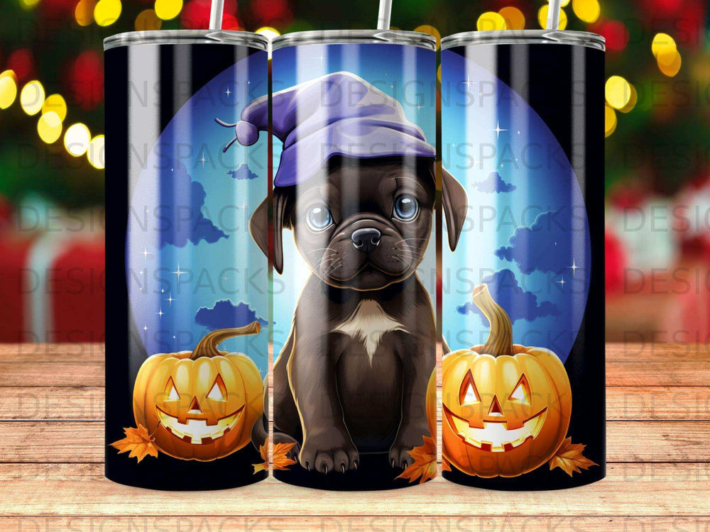 Black pug wearing a purple witch hat with two jack-o'-lanterns.