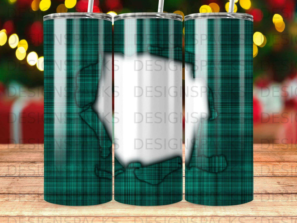 Turtles on a teal and green plaid background with a vertical white stripe.