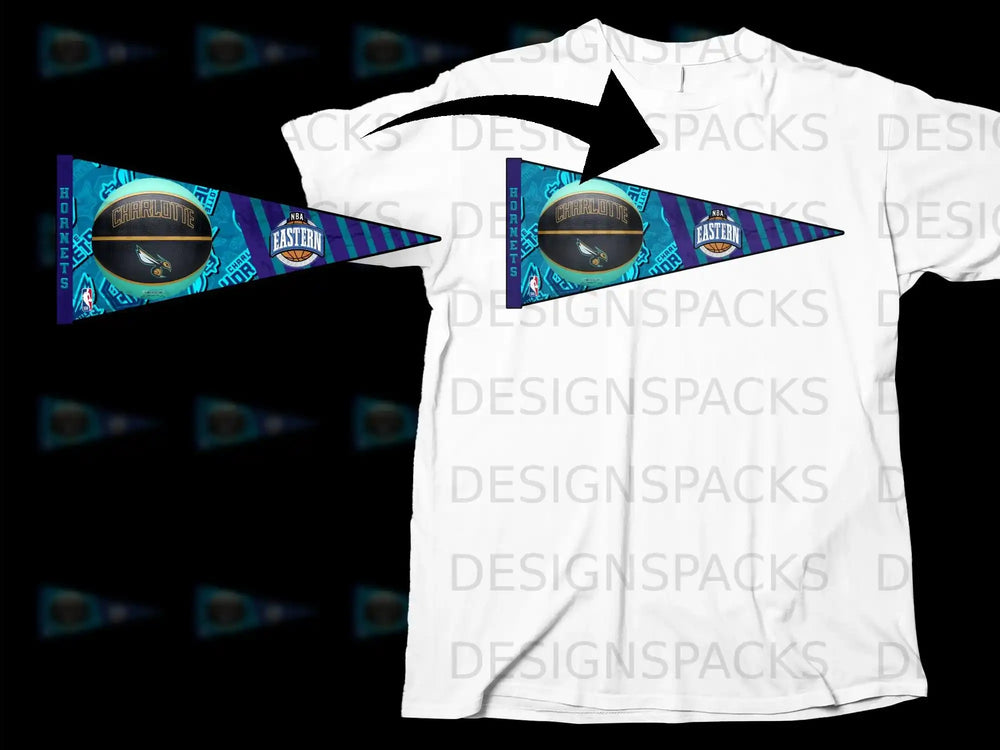 Charlotte Hornets NBA Eastern Conference team product