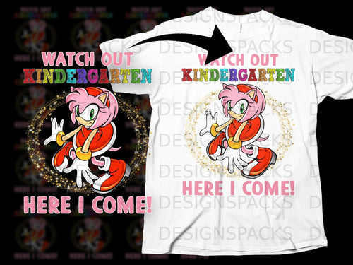 Amy Rose the hedgehog with text 