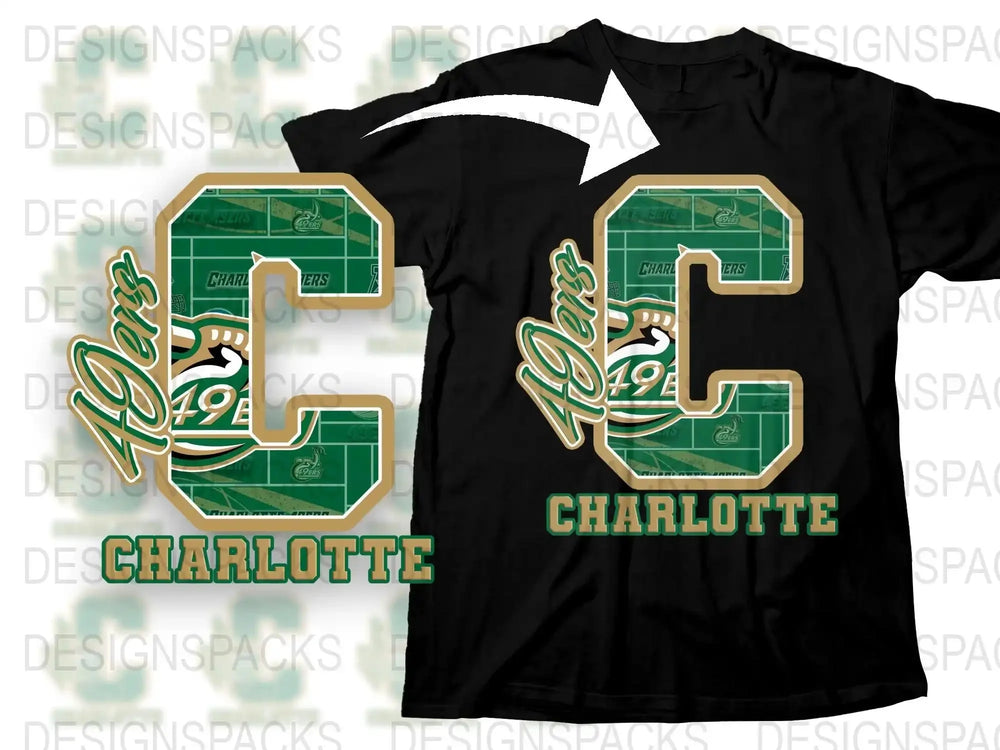 Vintage Charlotte 49ers T-Shirt, Retro Sports Tee, Collegiate Apparel, Green and White Graphic Shirt for Fans