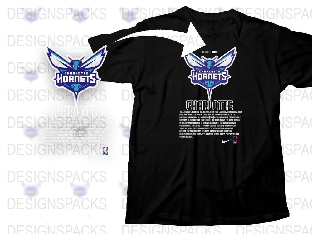 Charlotte Hornets Nike T-Shirt, NBA Team Logo Graphic Tee, Black Sports Shirt, Basketball Fan Apparel