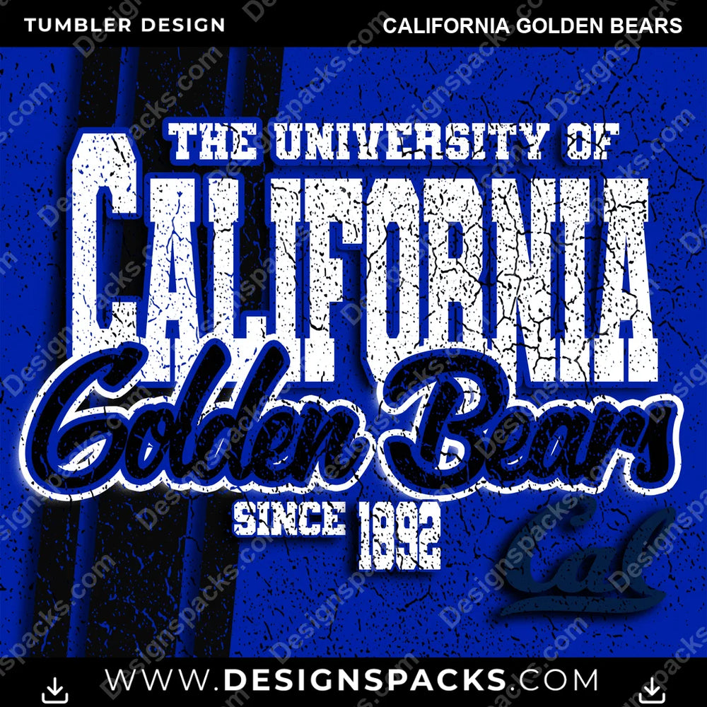College Sport Grunge California Golden Bears NCAA College Sport Tumbler Digital Wrap Design Download