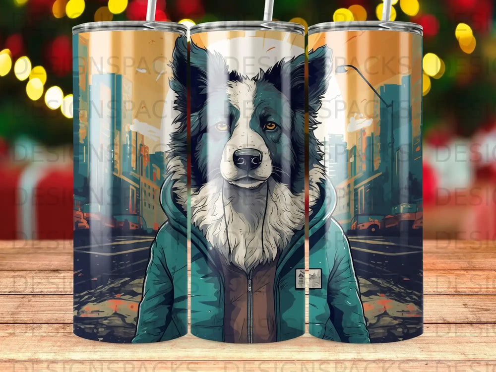 Border collie wearing a teal hoodie in a city street scene.