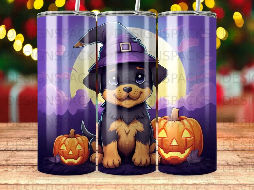 Cute dog in a witch hat sits between two jack-o'-lanterns.