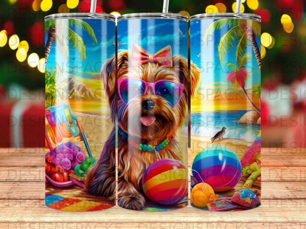 Yorkshire Terrier wearing sunglasses with beach balls and toys.