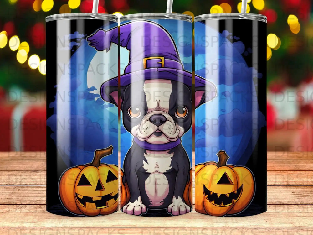 Boston Terrier in witch hat with pumpkins for Halloween.