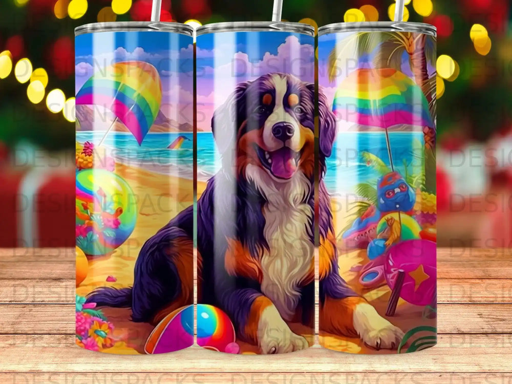 Bernese Mountain Dog on a beach with colorful beach toys.