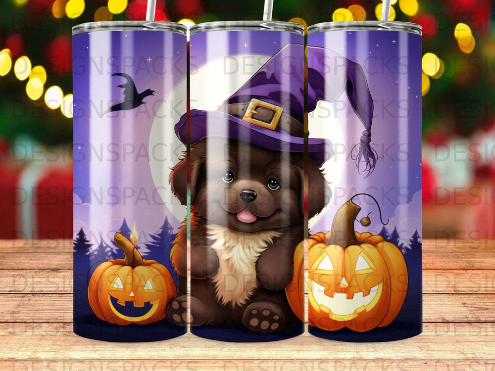 Fluffy dog wearing witch hat with pumpkins on Halloween background.