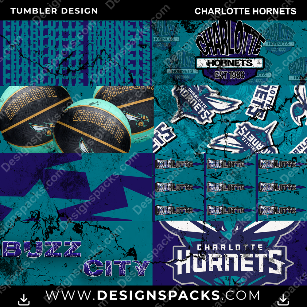 Basketball Distressed BG Charlotte Hornets Tumbler Digital Wrap Design