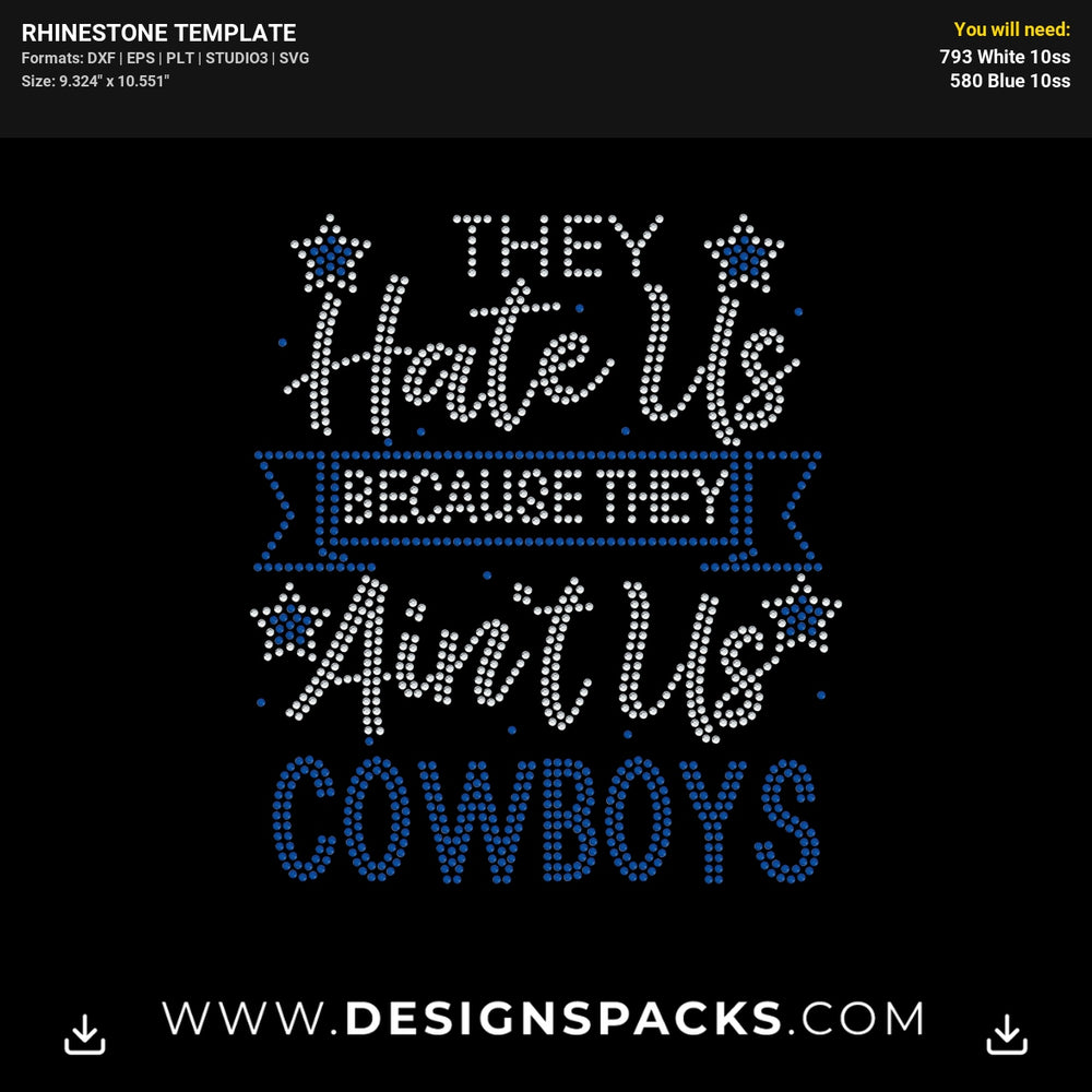 They Hate Us Aint Us Rhinestone Digital Template