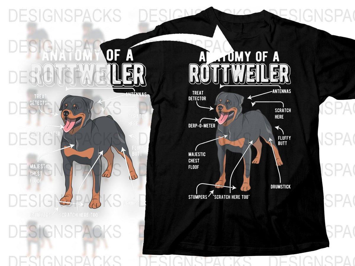 e19f006e-f13d-4947-aaa3-2b1b73e6fdbf