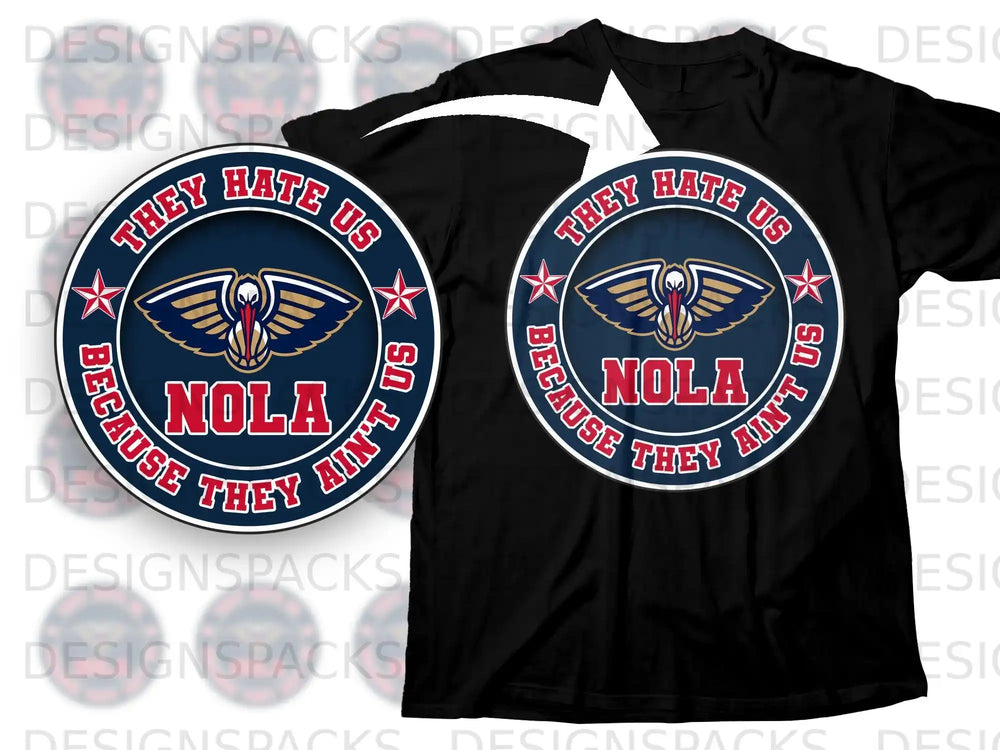 They Hate Us Because They Ain't Us NOLA T-shirt