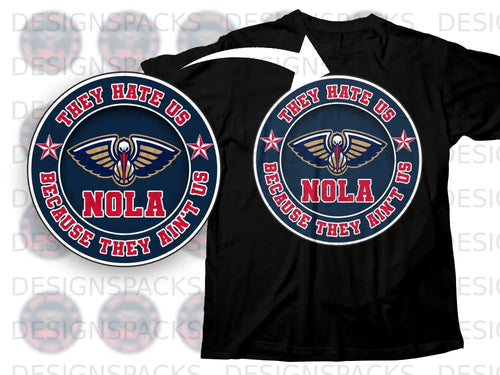 They Hate Us Because They Ain't Us NOLA T-shirt