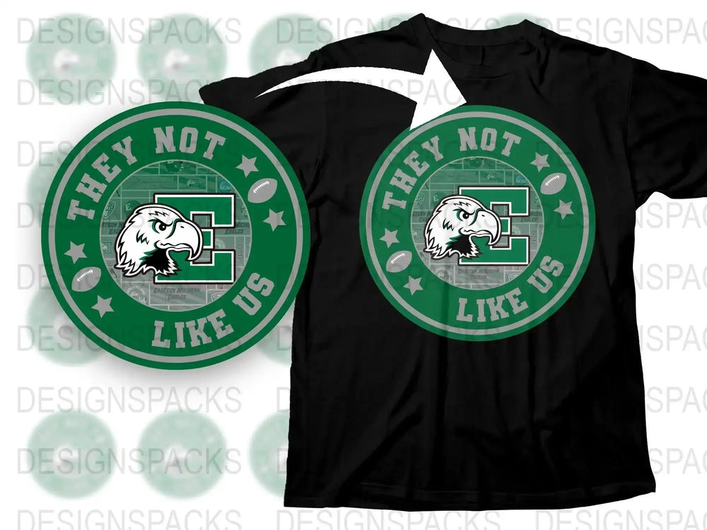 They Not Like Us Eagle Graphic T-Shirt, Vintage Sports Team Tee, Unisex Fashion Shirt