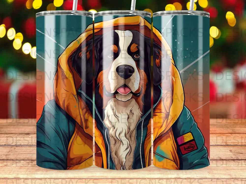 Bernese mountain dog wearing a hooded jacket.