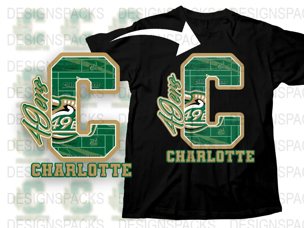 Vintage Charlotte 49ers T-Shirt, Retro Sports Tee, Collegiate Apparel, Green and White Graphic Shirt for Fans