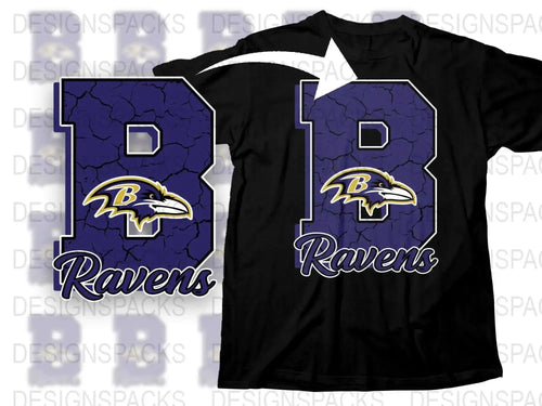 Baltimore Ravens T-Shirt, Purple Sports Fan Apparel, Football Team Logo Tee