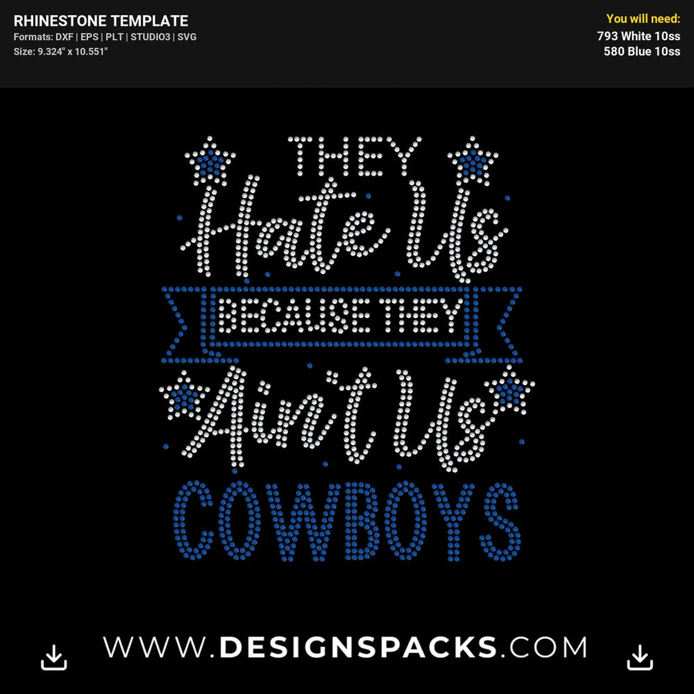 They Hate Us Aint Us Rhinestone Digital Template